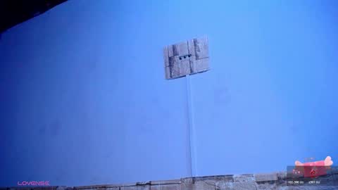 Victoria online show from November 19, 11:21 am