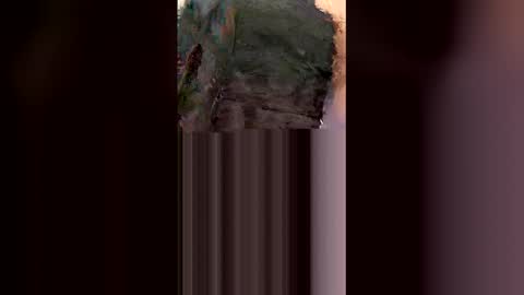 Snapshot of hongo4207 chatting on February 6, 12:19 pm hongo4207 online show from February 6, 12:19 pm