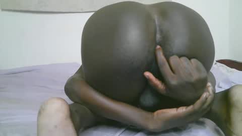 Harry online show from December 17, 12:00 pm