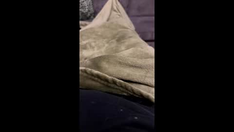 hornybear420420420 online show from March 6, 11:34 pm