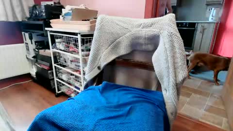 hornypenis127 online show from June 6, 9:14 am