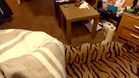 hotboy69735953 online show from March 15, 9:10 pm