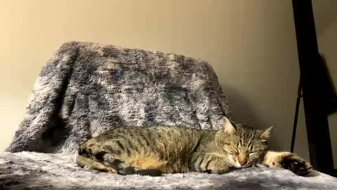 hottiewithabody101 online show from April 17, 9:51 pm