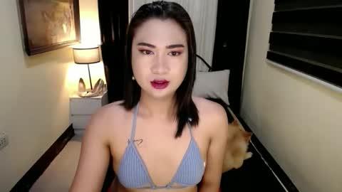 yesha fox online show from April 24, 12:07 pm