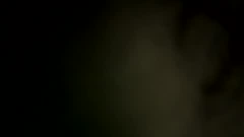 hughfat online show from April 9, 4:56 am