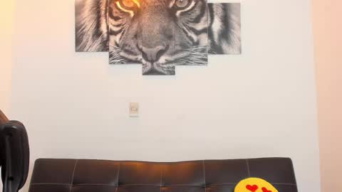 Eli online show from February 20, 2:30 am