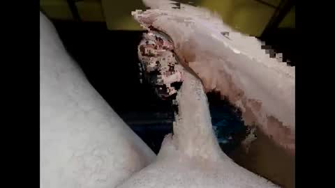 hung_mac0 online show from May 20, 2:01 pm