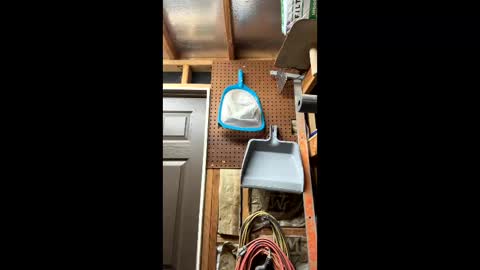 huskey300 online show from March 6, 10:06 pm