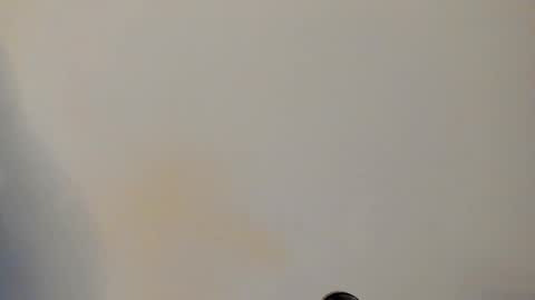 IAN CASTILLO online show from February 24, 11:08 am