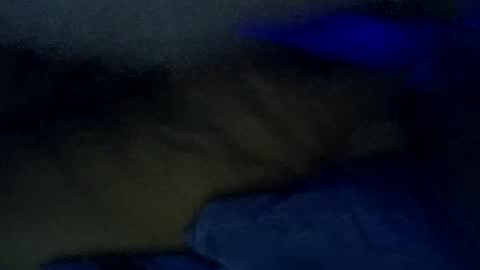 Snapshot of igcognito647033 chatting on March 23, 7:51 pm igcognito647033 online show from March 23, 7:51 pm