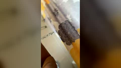 ikaikagora00 online show from March 5, 4:36 pm