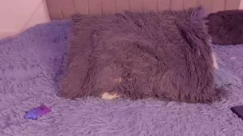 im tiffany  online show from March 5, 4:19 am