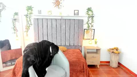 im_tulipan online show from February 25, 7:56 pm