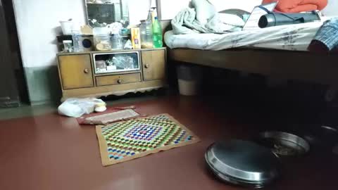 BOREDILDO online show from March 12, 7:09 pm