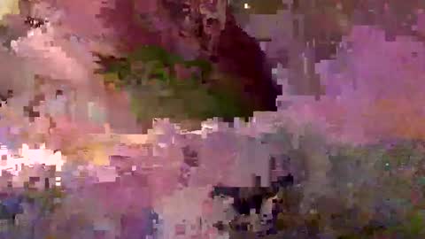 inhertube15 online show from December 28, 10:03 am