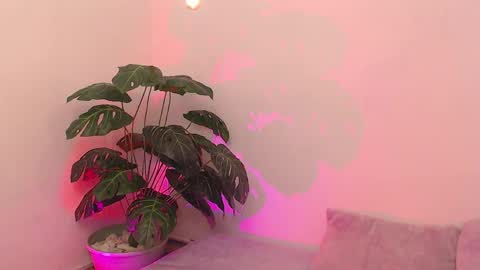 Iirs online show from April 18, 9:04 pm