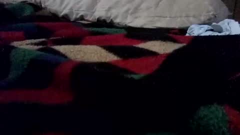 McDick online show from March 27, 8:26 am