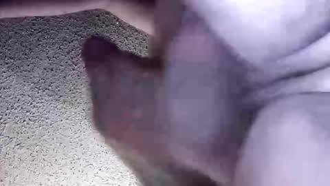 McDick online show from March 30, 5:41 am