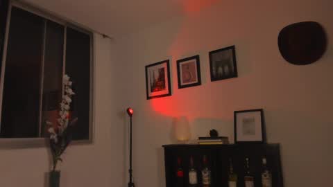 Snapshot of isnotforeveryone chatting on February 17, 2:09 am Julyane online show from February 17, 2:09 am