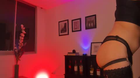 Snapshot of isnotforeveryone chatting on February 21, 12:38 am Julyane online show from February 21, 12:38 am