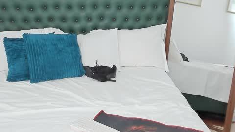 IvyHotFoxy online show from February 13, 12:01 pm