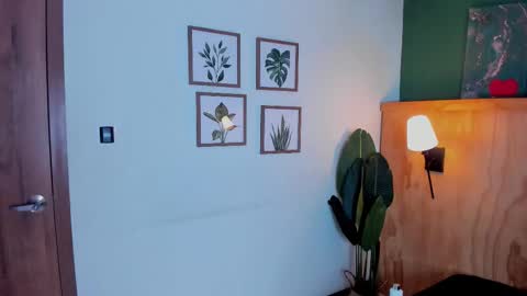 David online show from November 25, 3:17 am