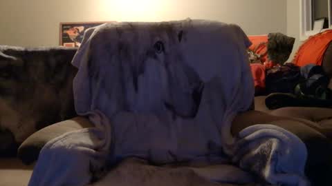 Snapshot of jameswolf777 chatting on December 16, 2:44 pm jameswolf777 online show from December 16, 2:44 pm