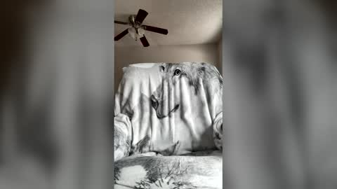 Snapshot of jameswolf777 chatting on April 7, 7:03 pm jameswolf777 online show from April 7, 7:03 pm