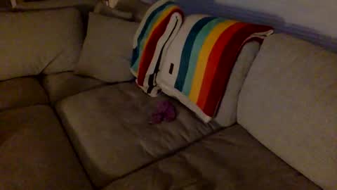 janicepepper online show from December 18, 10:32 am