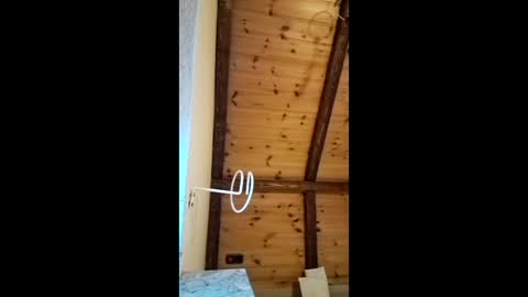 qjny online show from March 25, 5:30 pm