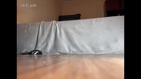 jarrettsss online show from November 14, 7:56 pm