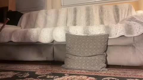 Snapshot of jbfilms2020 chatting on October 7, 4:42 am JB online show from October 7, 4:42 am