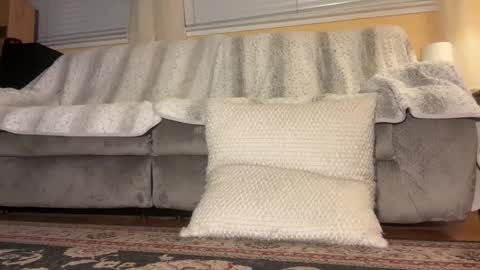 Snapshot of jbfilms2020 chatting on October 26, 5:13 am JB online show from October 26, 5:13 am