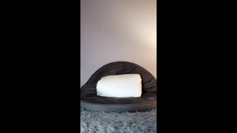 Jenny Star online show from February 8, 5:05 pm