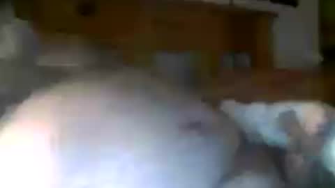 jerkmate6666 online show from July 15, 8:52 am