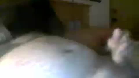 jerkmate6666 online show from July 20, 6:28 am