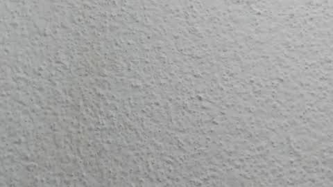 JESSY CORTES online show from April 12, 5:12 am