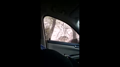 jgthagr8 online show from March 4, 1:28 pm