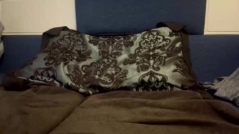 Snapshot of jibai582233 chatting on February 19, 1:01 am bigdawgg online show from February 19, 1:01 am