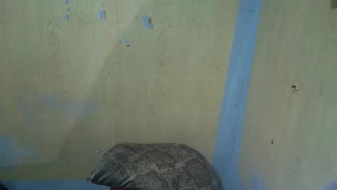 jillian_fuckdoll online show from December 22, 2:58 pm