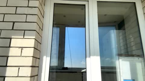 Jinny online show from September 15, 7:08 am