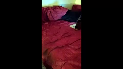 joeborrowman7 online show from March 1, 8:38 am