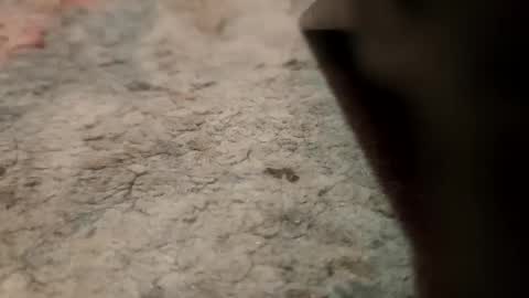 Snapshot of joemancini643 chatting on September 21, 2:13 am joemancini643 online show from September 21, 2:13 am