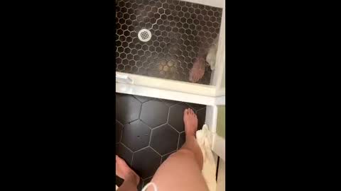 thisboytouch online show from April 1, 5:08 am