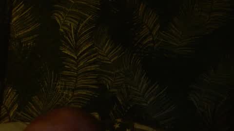 John online show from January 22, 7:57 am