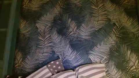 John online show from January 24, 10:51 pm