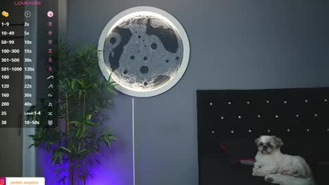 Jordan online show from April 20, 9:12 am