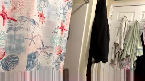 sissy josphine online show from February 3, 3:37 am