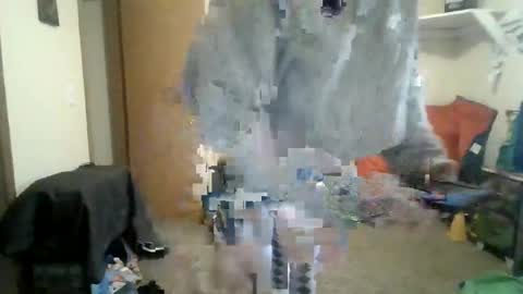 sissy josphine online show from March 3, 7:20 pm