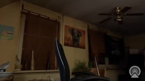 jott604214 online show from March 8, 8:23 pm